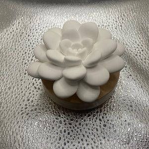 desert bloom passive diffuser